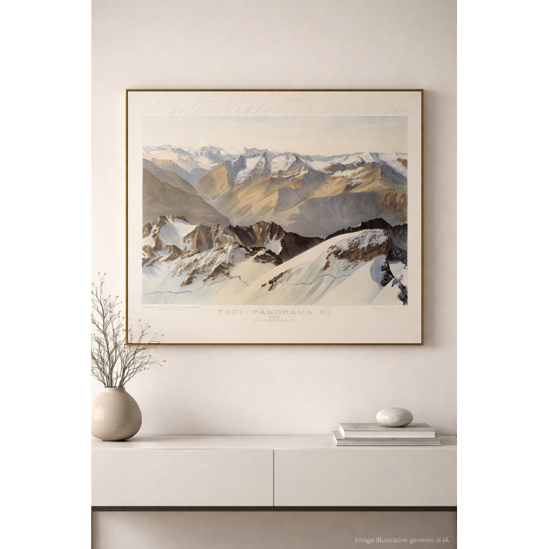 TODI - PANORAMA B1.1