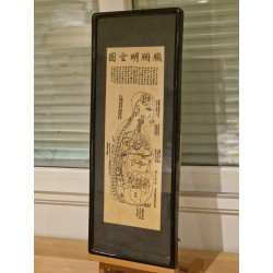 Planche Médicinale - Gravure sur bois