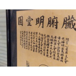 Planche Médicinale - Gravure sur bois