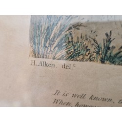 Sporting Anecdotes - The Sporting Bishop