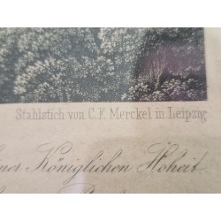 Panorama von Koeln bis Remagen