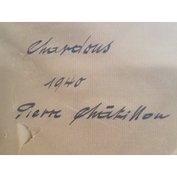 Chardons - Pierre Châtillon