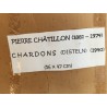 Chardons - Pierre Châtillon