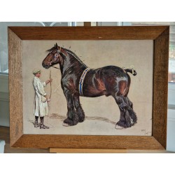 The Shire Horse - Cecil ALDIN