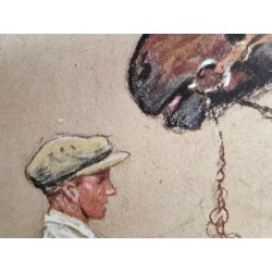 The Shire Horse - Cecil ALDIN