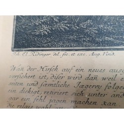 Gravure Joh. Elias Ridinger