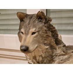 Mill Creek Studios Six Paws