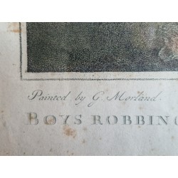 Garçons dérobant un verger - G. Morland