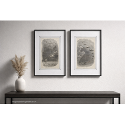 Lot gravures J.-J. Grandville