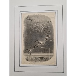 Lot gravures J.-J. Grandville