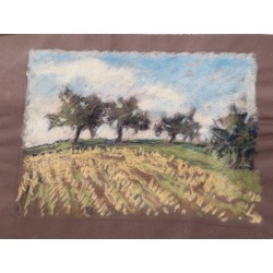 Pastel sec sur papier