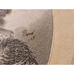 Gravure dessiné à Vienne d'après  Nature