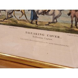 Breaking Cover - Billesdon Coplow