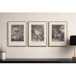 Lot de 3 gravures J. E. Ridinger