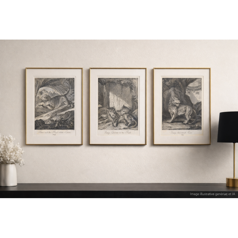 Lot de 3 gravures J. E. Ridinger