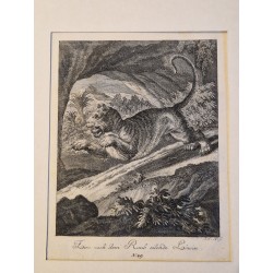 Lot de 3 gravures J. E. Ridinger