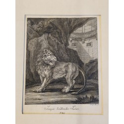 Lot de 3 gravures J. E. Ridinger