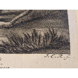 Lot de 3 gravures J. E. Ridinger