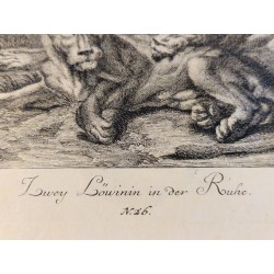 Lot de 3 gravures J. E. Ridinger