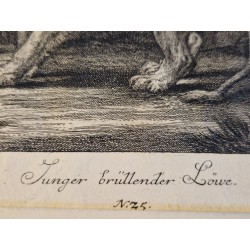 Lot de 3 gravures J. E. Ridinger