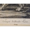 Lot de 3 gravures J. E. Ridinger